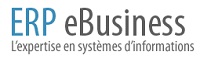 logo ERP Ebusiness
