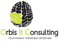 logo ORBIS IT CONSULTING