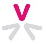 logo VALUEGO CONSULTING